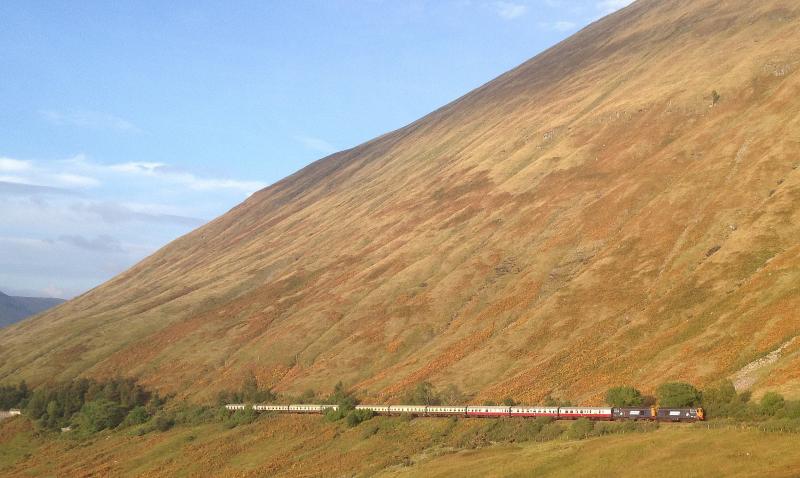 Photo of 20's Autumn Highlander returning at County March