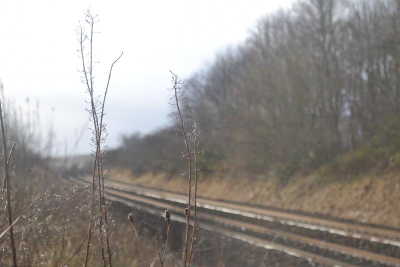 Where was I?: Taken 25/01/14 Photo of Where was I?