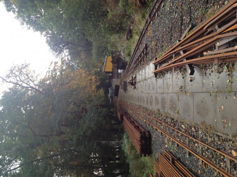 Torosay after closure: Photo of Torosay after closure