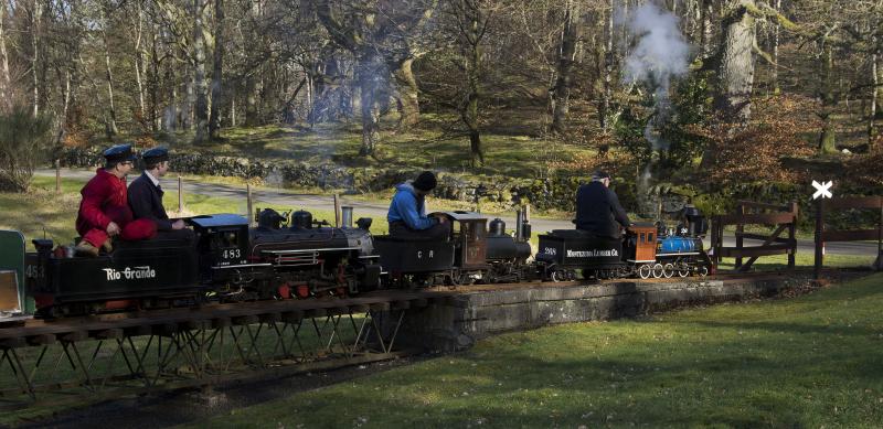 Photo of COMRIE RAILWAY LAST DAY 16.3.14