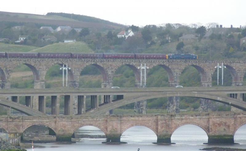 KOYLI Royal Border Bridge: 55002 crossing the Royal Border Bridge, taken from the old Tweedmouth Dock branch Photo of KOYLI Royal Border Bridge