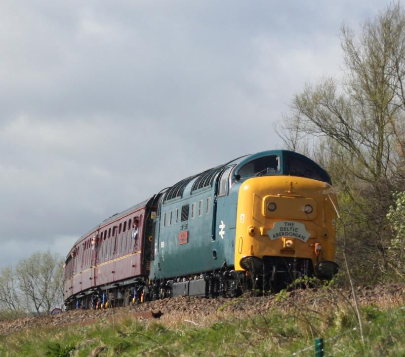 Photo of Signal check @ Cupar