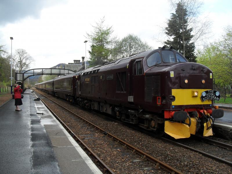 Royal Scotsman at Dunkeld: 37685 Loch Arkaig stopping at Dunkeld On 24th April 2014 Photo of Royal Scotsman at Dunkeld