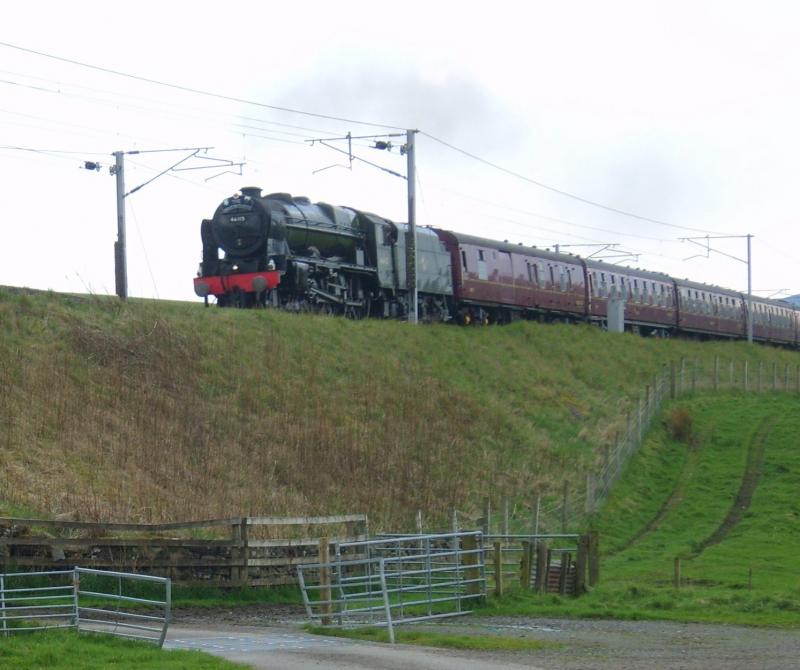 GB7 1Z60 north of Abington: 46115 Scots Guardsman heads North on its way to Edinburgh today 29th April 2014 Photo of GB7 1Z60 north of Abington