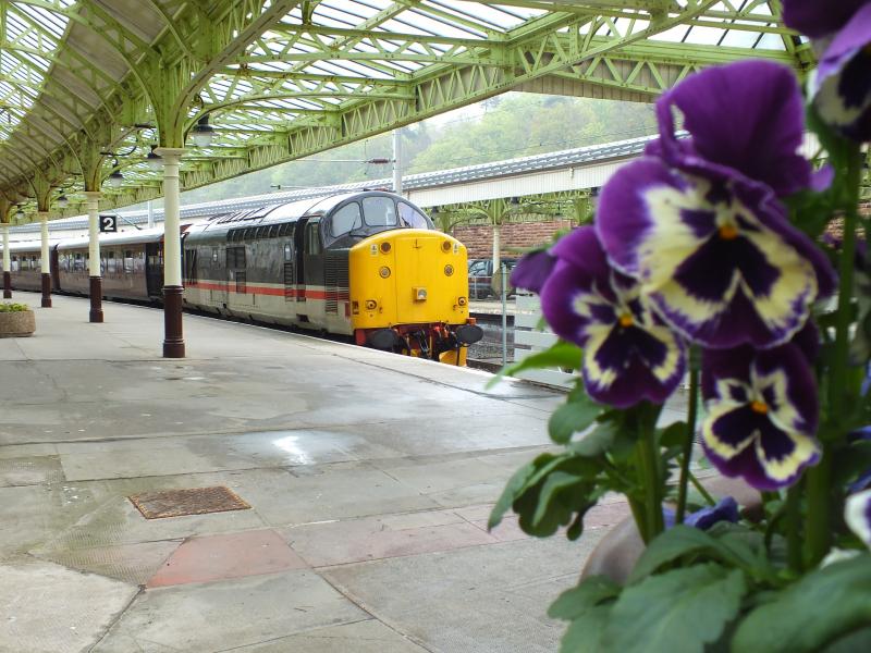 37518 in Wemyss Bay with the Royal Scotsman : A pleasant change of colour on the Royal Scotsman Photo of 37518 in Wemyss Bay with the Royal Scotsman
