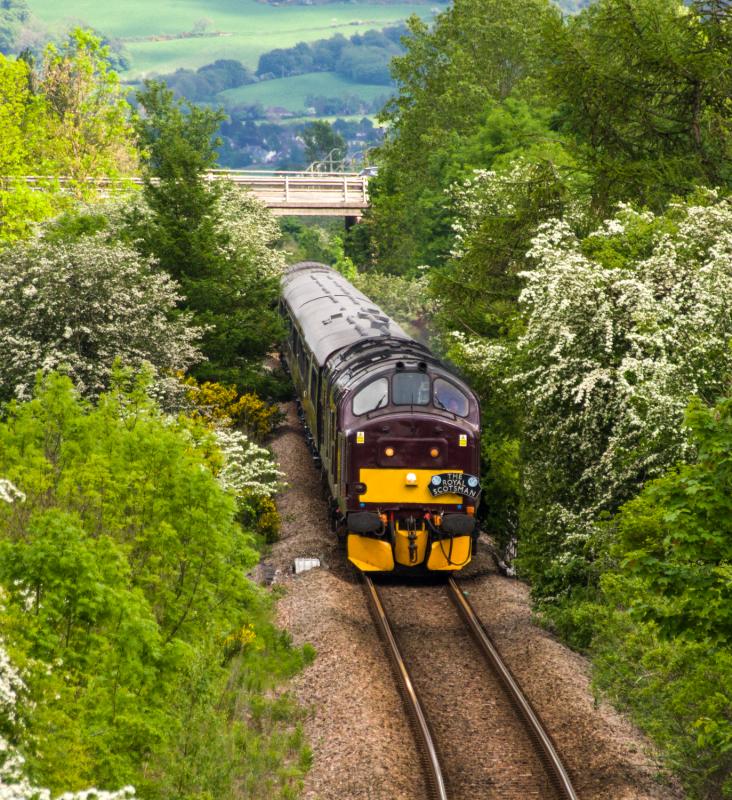 Royal Scotsman: 37685 heads The Royal Scotsman under the M90 at Bridge of Earn. 26/05/14 Photo of Royal Scotsman
