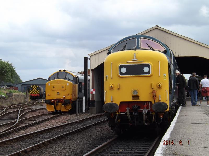 Memories of Youth: A real Scottish Region 1980s feel at Bo'ness with an 08 Shunter, 37 and a 55 on 1st June 2014 Photo of Memories of Youth