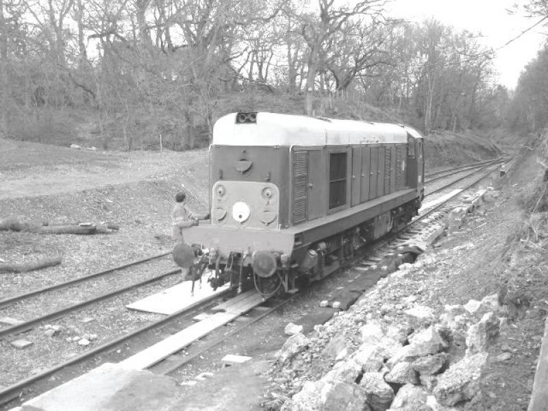 D8020: D8020 at Birkhill, Saturday 26/04/2008. Photo of D8020