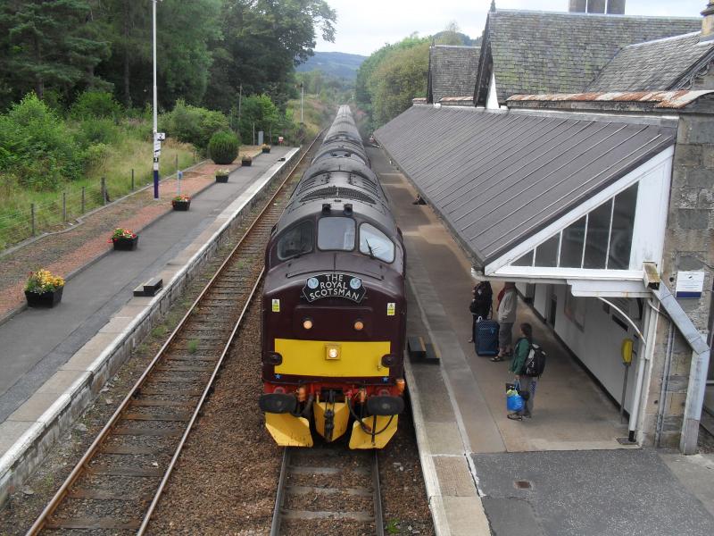 Royal Scotsman at Dunkeld: Loch Arkaig and Loch Laidon arriving at Dunkeld with RS on 18th August 2014 Photo of Royal Scotsman at Dunkeld