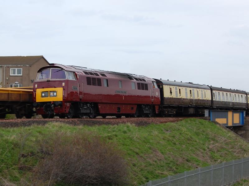 Photo of D1015 Western Scot