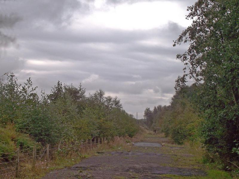 Bathgate wilderness: Dog-walking route in Bathgate - disused railway? Photo of Bathgate wilderness