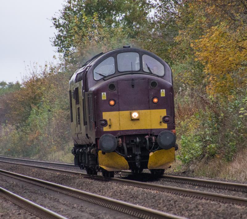 37516: 37516 heads north at Forgandenny. 22/10/14 Photo of 37516