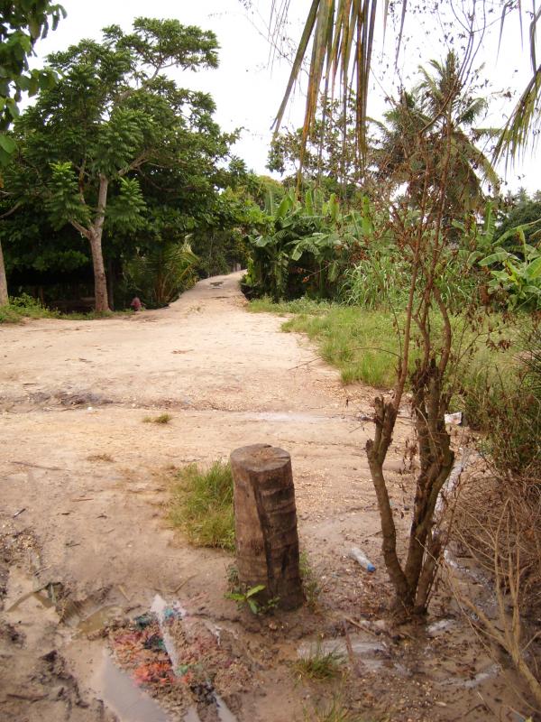 East African Tropical Railway: This railway was opened by the Sultan the 1880s and closed in 1930. Kiswahili is spoken on the Island. Photo of East African Tropical Railway