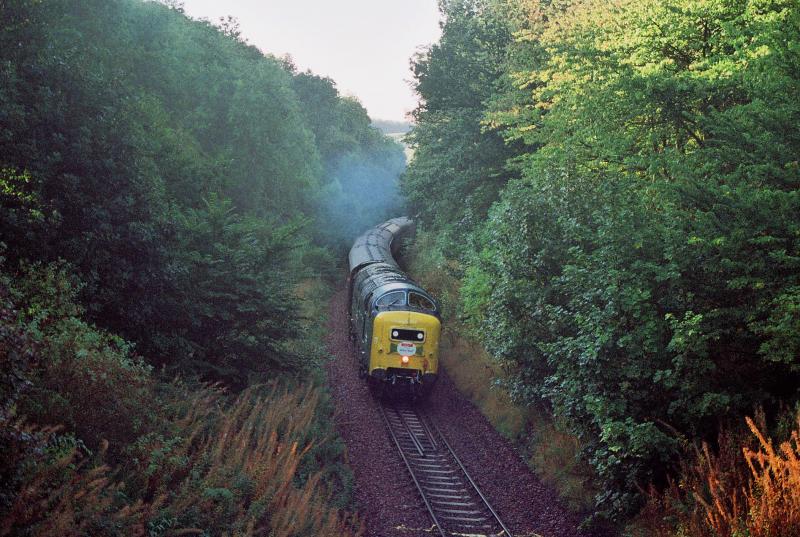 Photo of Deltic Day Out