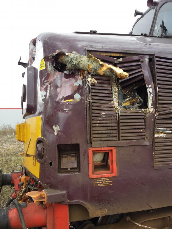 37685 Inverness 'Tree Incident': Photo of 37685 Inverness 'Tree Incident'