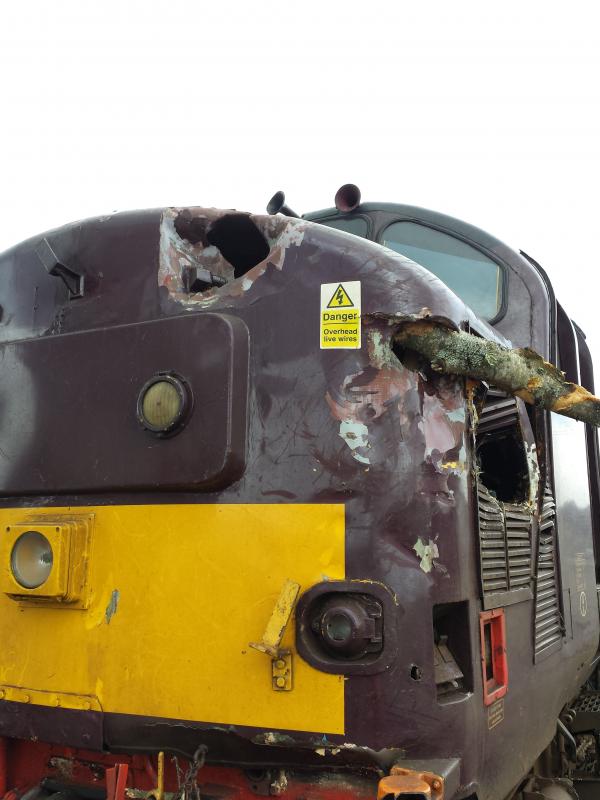 37685 Inverness 'Tree Incident': Thankfully driver was ok. Photo of 37685 Inverness 'Tree Incident'