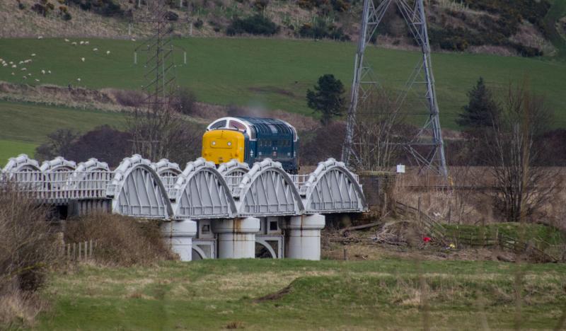 55003 Meld: 55003 (55022)_0Z55 Springburn - Inverness crosses the river Earn at Forgandenny. 26/03/15 Photo of 55003 Meld