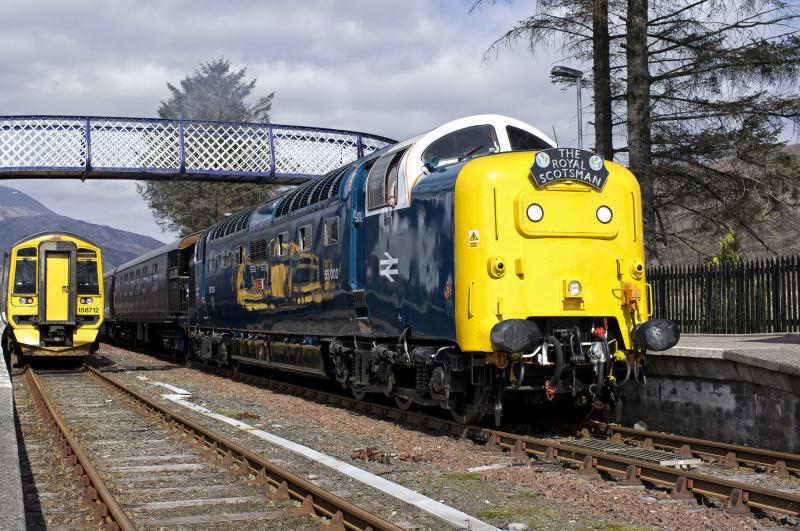 ROYAL SCOTSMAN (10).jpg: STRATHCARRON 21.4.15 Photo of ROYAL SCOTSMAN (10).jpg