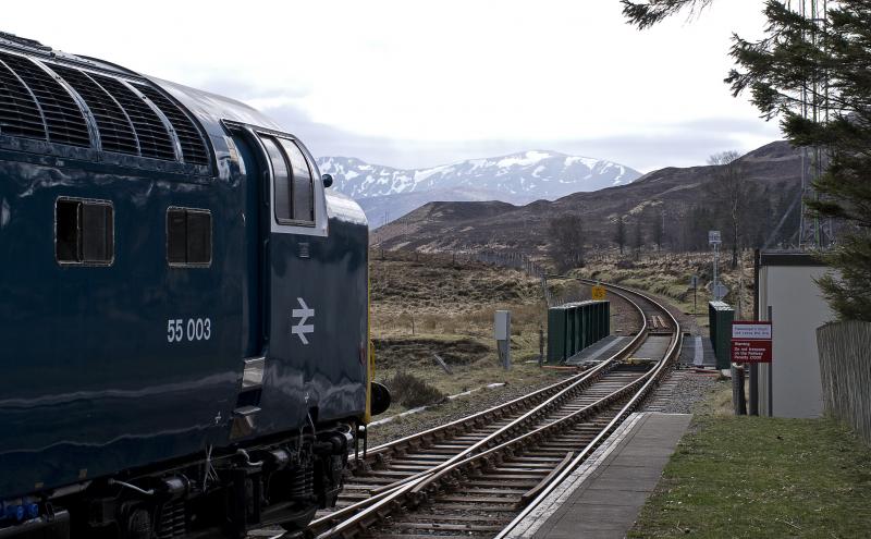 ROYAL SCOTSMAN (7).jpg: ACHNASHEEN 21.4.15 Photo of ROYAL SCOTSMAN (7).jpg