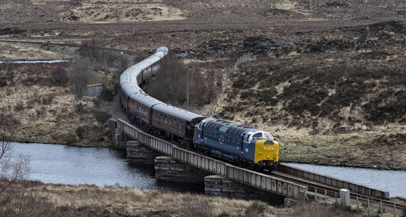 ROYAL SCOTSMAN (2).jpg: 1 MILE EAST OF ACHANALT Photo of ROYAL SCOTSMAN (2).jpg