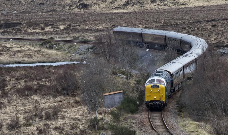 Photo of ROYAL SCOTSMAN  (1).jpg