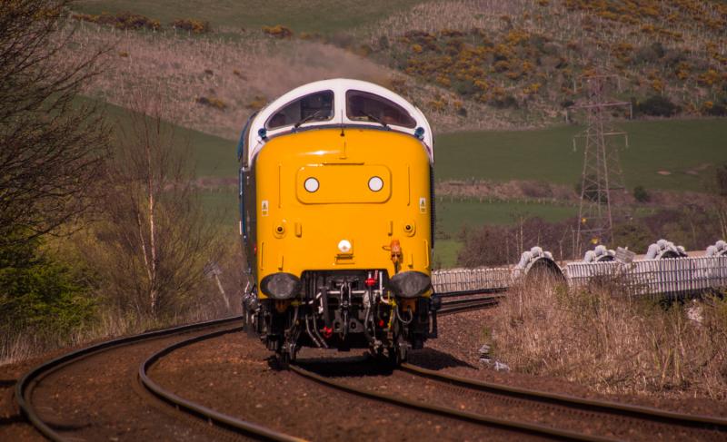 55003 Meld: 55003 passes Forgandenny. 22/04/15 Photo of 55003 Meld
