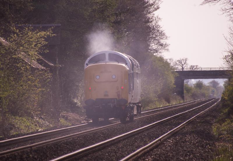 55003 Meld: Smokey 55003 passes Forgandenny. 22/04/15 Photo of 55003 Meld