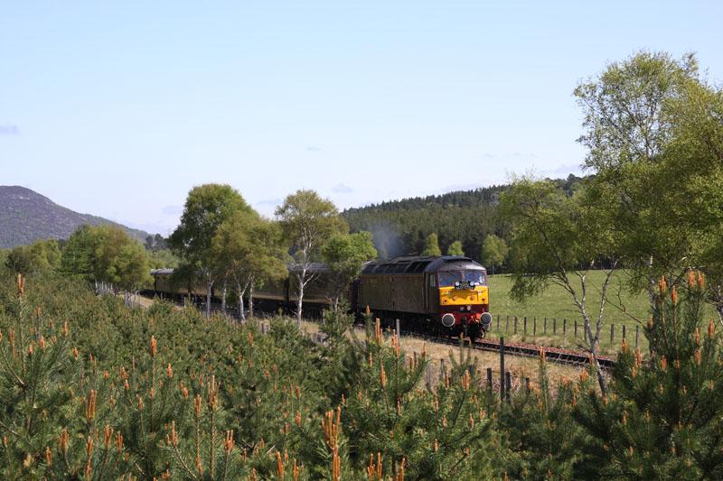 47804: 47804 is pictured heading south from Aviemore with 5H82 on 15th May 2008. Photo of 47804