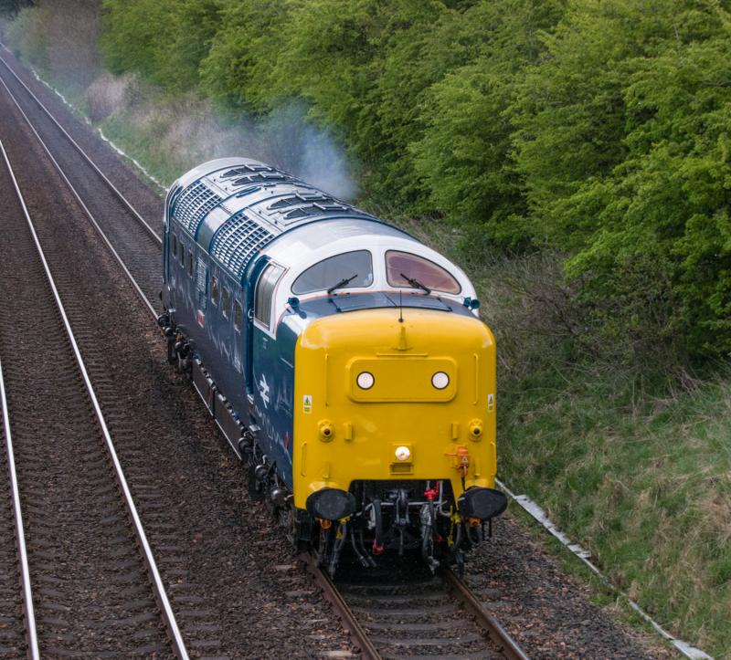 55003 Meld: 55003 returning to Glasgow passes Forgandenny. 29/04/15 Photo of 55003 Meld