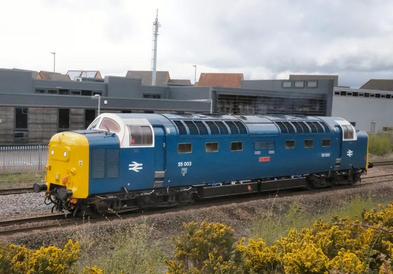 Photo of 55003 passes Larbert with 0Z55 Inverness - Craigentinny.