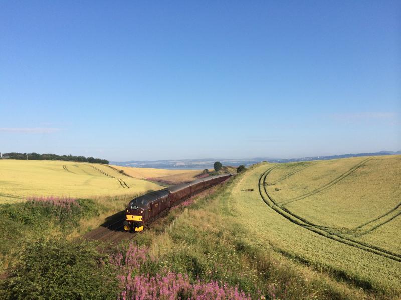 37516 Royal Scotsman Wormit July 2014: On a lovely morning in July 2014 37516 works from Dundee to Edinburgh past Wormit Photo of 37516 Royal Scotsman Wormit July 2014