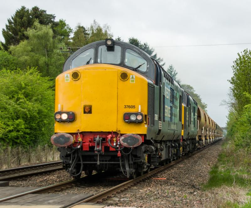 37605/37218: 37605/37218 passes Forgandenny with todays 6K31 Photo of 37605/37218