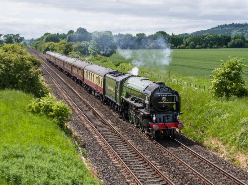 60163 Tornado: The Highland Rambler passes Forgandenny.20/06/15. Photo of 60163 Tornado