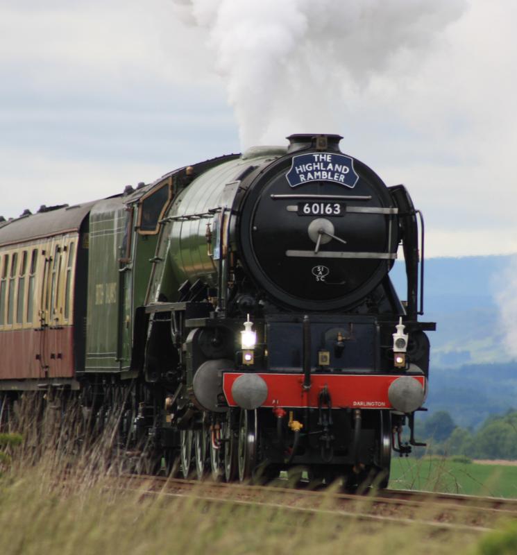 Highland Rambler: HIGHLAND RAMBLER NORTH OF GLENEAGLES WITH AN EXCESS OF STEAM . Photo of Highland Rambler