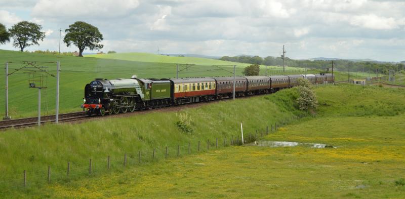 Tornado at Ravenstruther: 27th June 2015 working 1Z51 Carlisle - Carlisle via Bellshill 'The Border Reivers'. Photo of Tornado at Ravenstruther