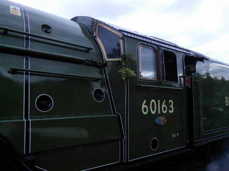 Brush cutter: Tornado has collected some greenery during the run to Culross 23 June 2015 Photo of Brush cutter