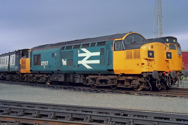 37117 Ayr MPD: Photo of 37117 Ayr MPD