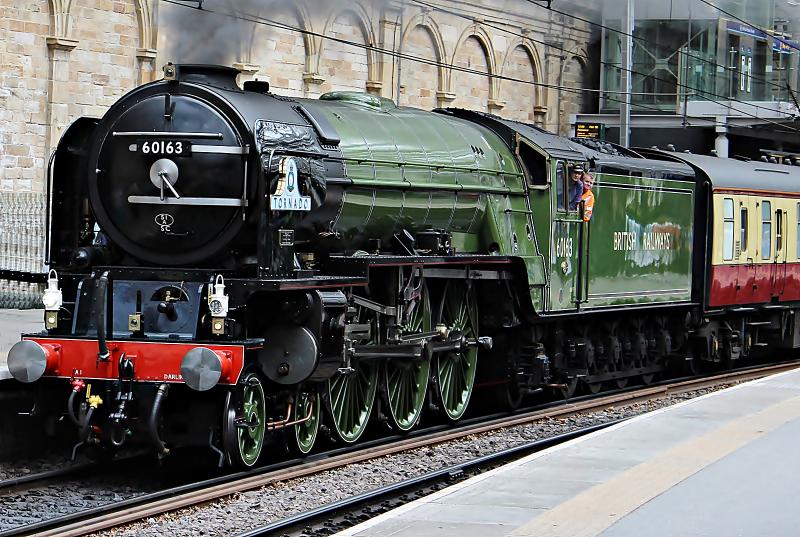 Tornado 60163: Tornado 60163 Waverley station. Photo of Tornado 60163