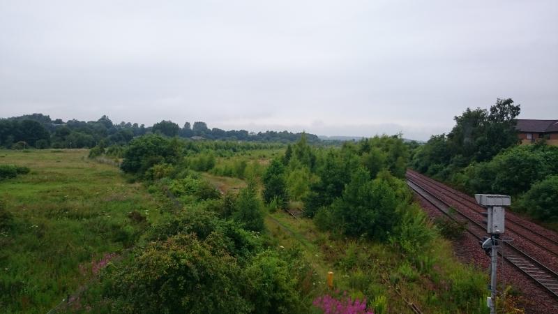 It's a jungle out there.: Perth yard Photo of It's a jungle out there.