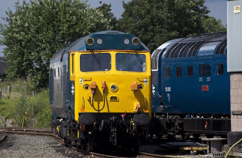 Photo of 50007 ON SHED.jpg