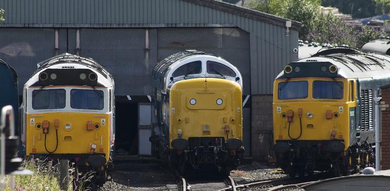 Photo of 50017 55003 50007 ON SHED.jpg