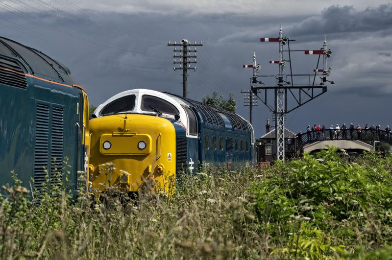 DELTIC (1).jpg: 50007 AND 55003 BO'NESS 25.7.15 Photo of DELTIC (1).jpg