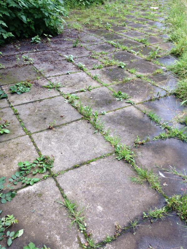 Bothwell platform?: Photo of Bothwell platform?