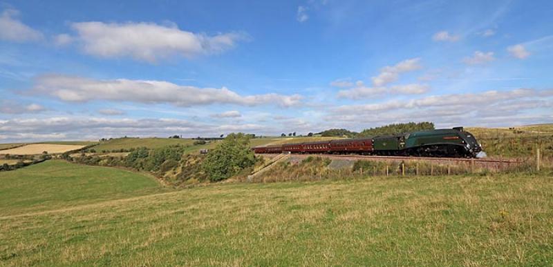 Photo of Number Nine on Borthwick Bank