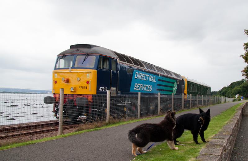 2 dugs in a train pic!!: 47818 shoves Caroline by Culross whilst Phoenix and Griffin ignore the train and stare each other out!! Photo of 2 dugs in a train pic!!