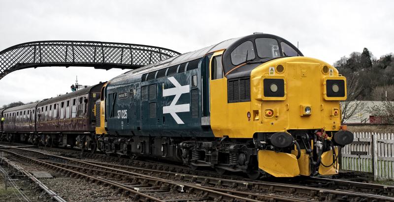 37025.jpg:
BO'NESS GALA 3.1.16 Photo of 37025.jpg
