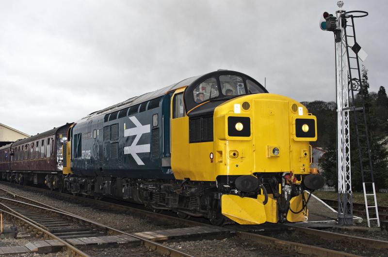 37025 BO'NESS GALA 3.1.16.jpg: Photo of 37025 BO'NESS GALA 3.1.16.jpg