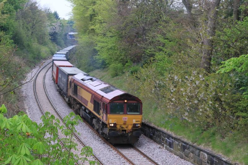 66103 on 4M30: 66103 on 4M30 08.12 Grangemouth Tdg to Daventry Int approaching Braid Avenue on the sub over newly laid track on 07/05/2016. Horse Chestnut saplings will soon obscure the view and drop leaves on the line. Photo of 66103 on 4M30