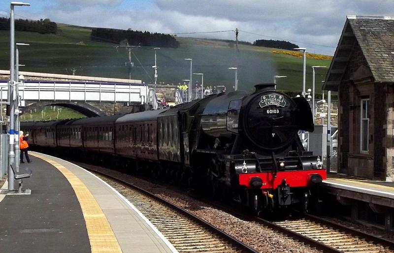 60103 at Stow : Flying Scotsman 60103 makes light work of 1Z22 the Cathedrals Express from Edinburgh through Stow on the Borders railway on Sunday 15th May 2016 Photo of 60103 at Stow