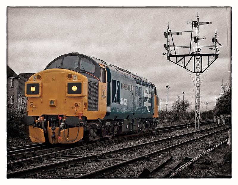 Homepage photo of 37025